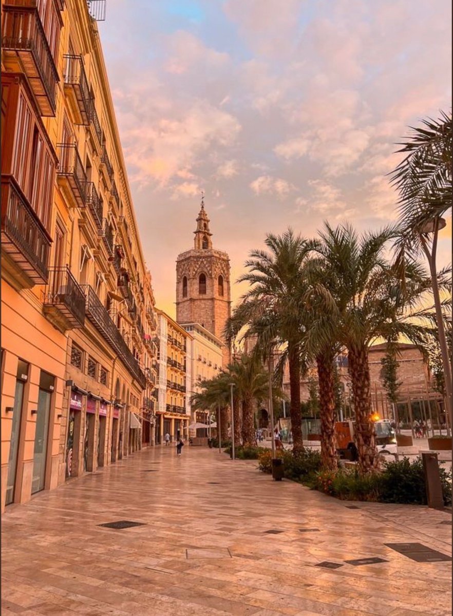 WORLD 2026 🌊 tweet media