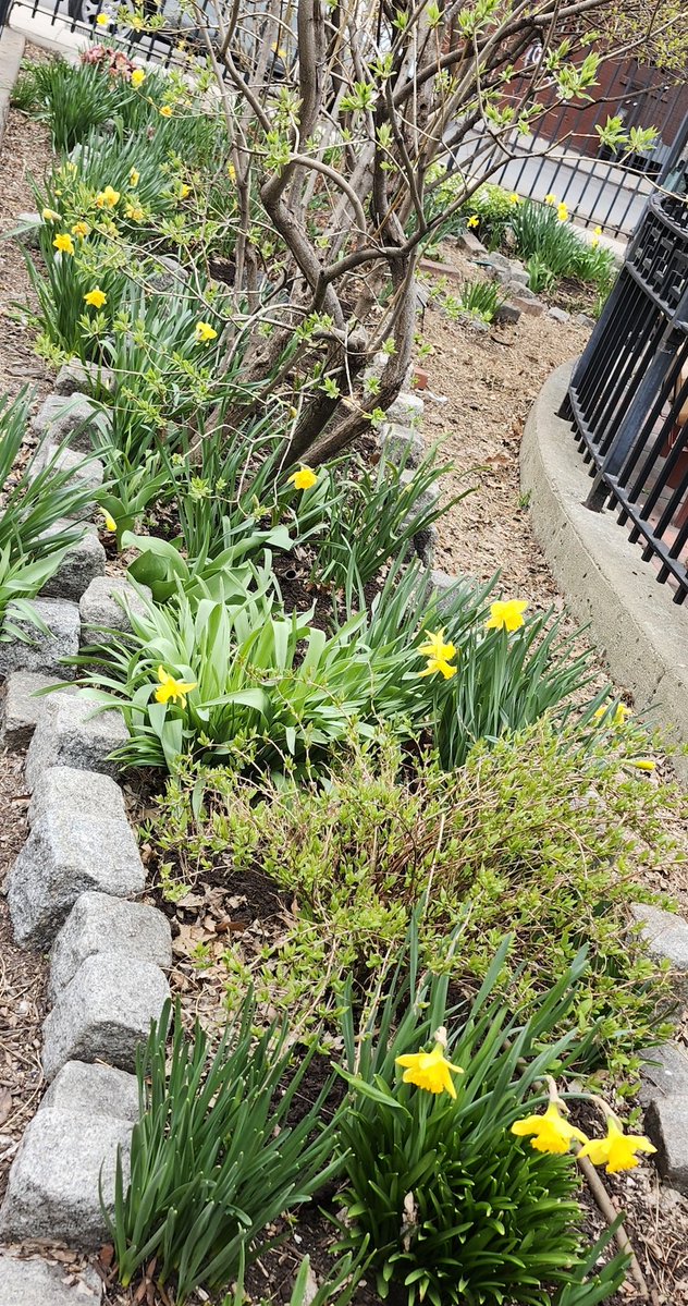 Tom Cayler tweet media