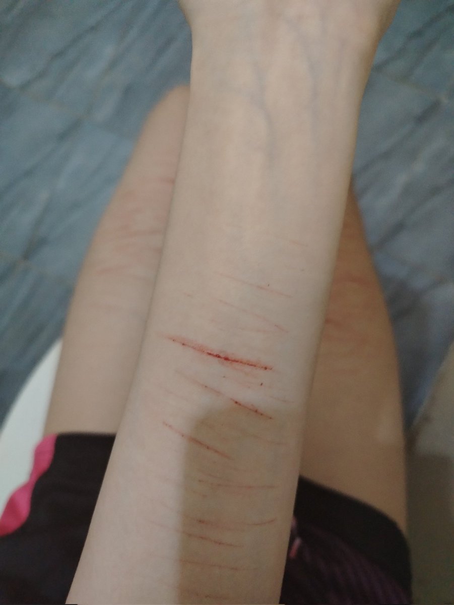 quietfood🪽 danbo of shedtwt tweet media