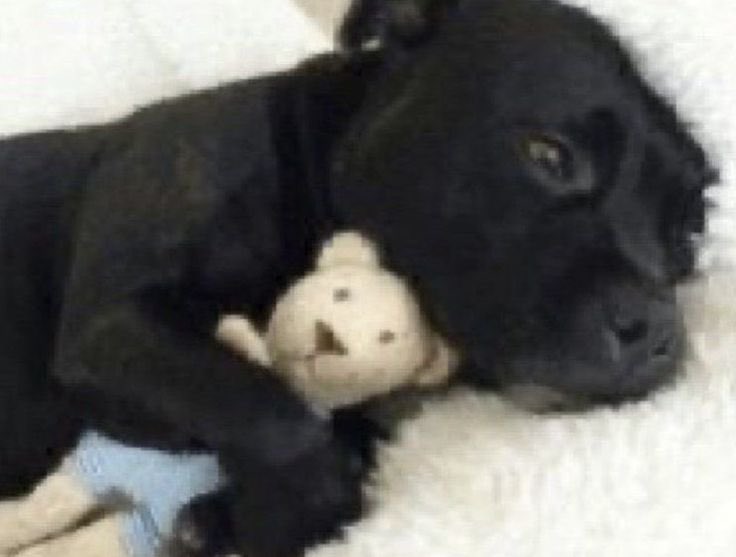 🧑🏽‍💻 tweet media