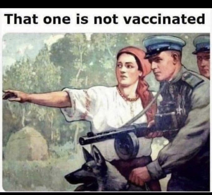 Diaphanous tweet media