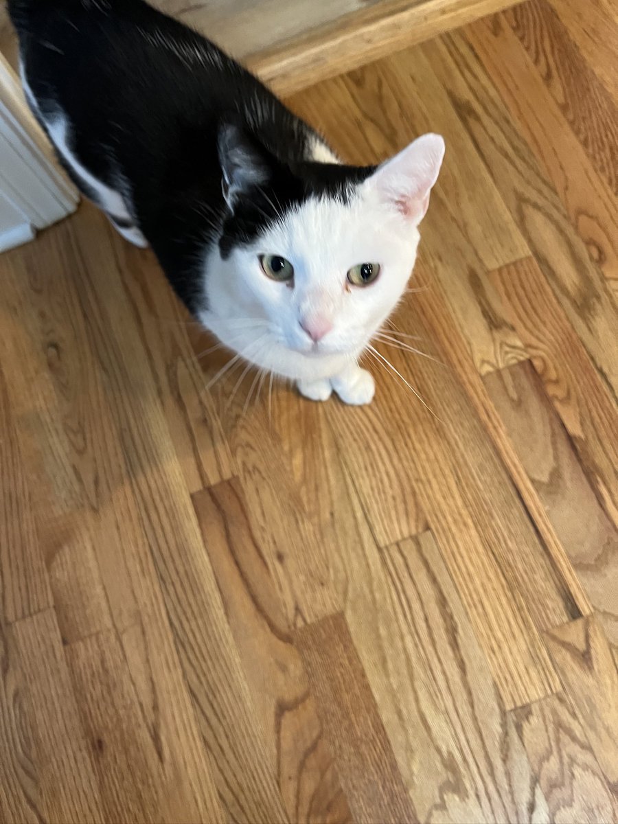 JackFromAcworth tweet media