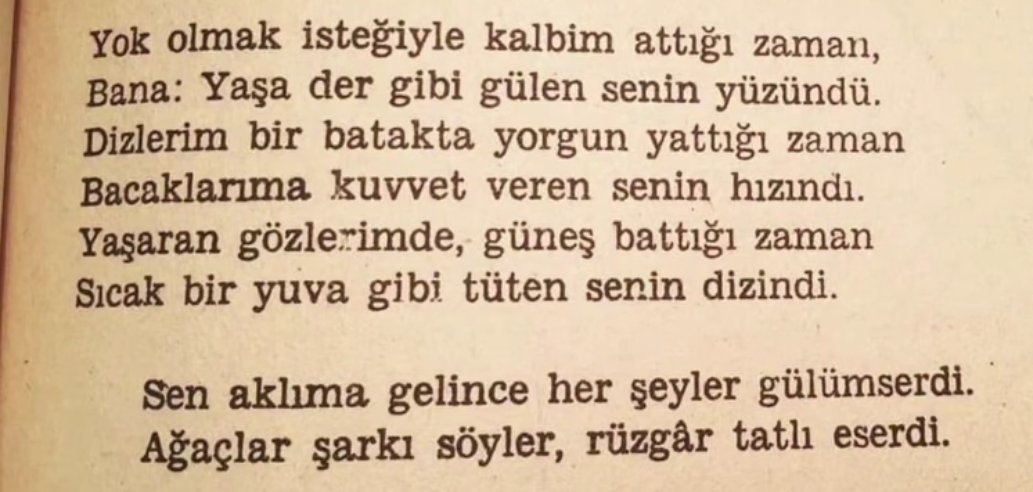 şev tweet media
