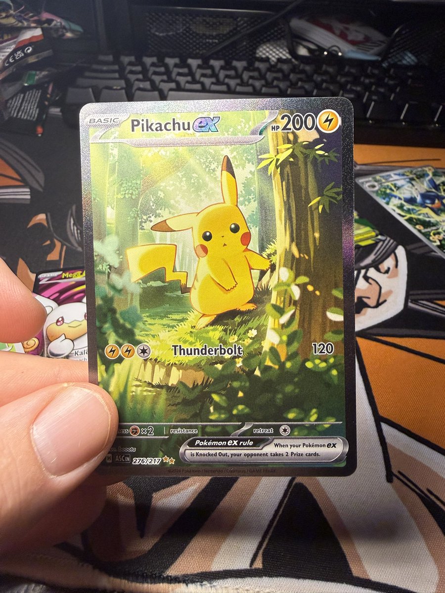 CharizardEats tweet media