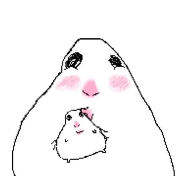 кира. tweet media