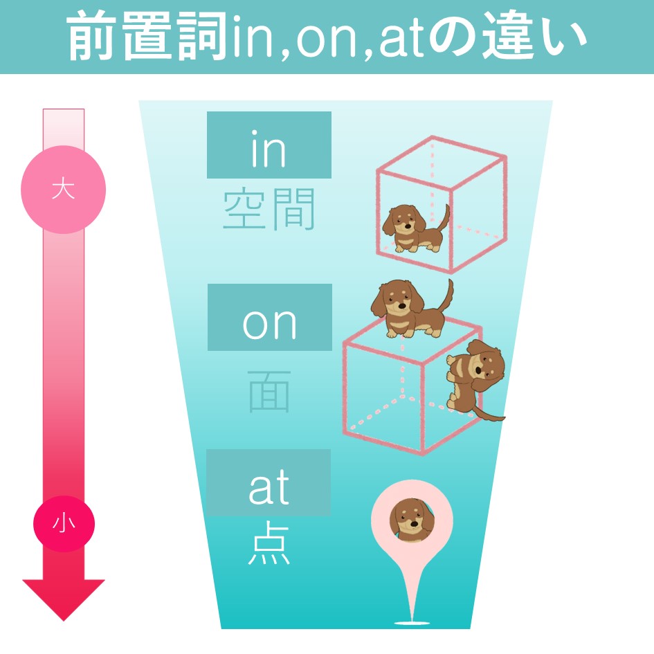 きなこ🧑‍🏫英語コーチ tweet media