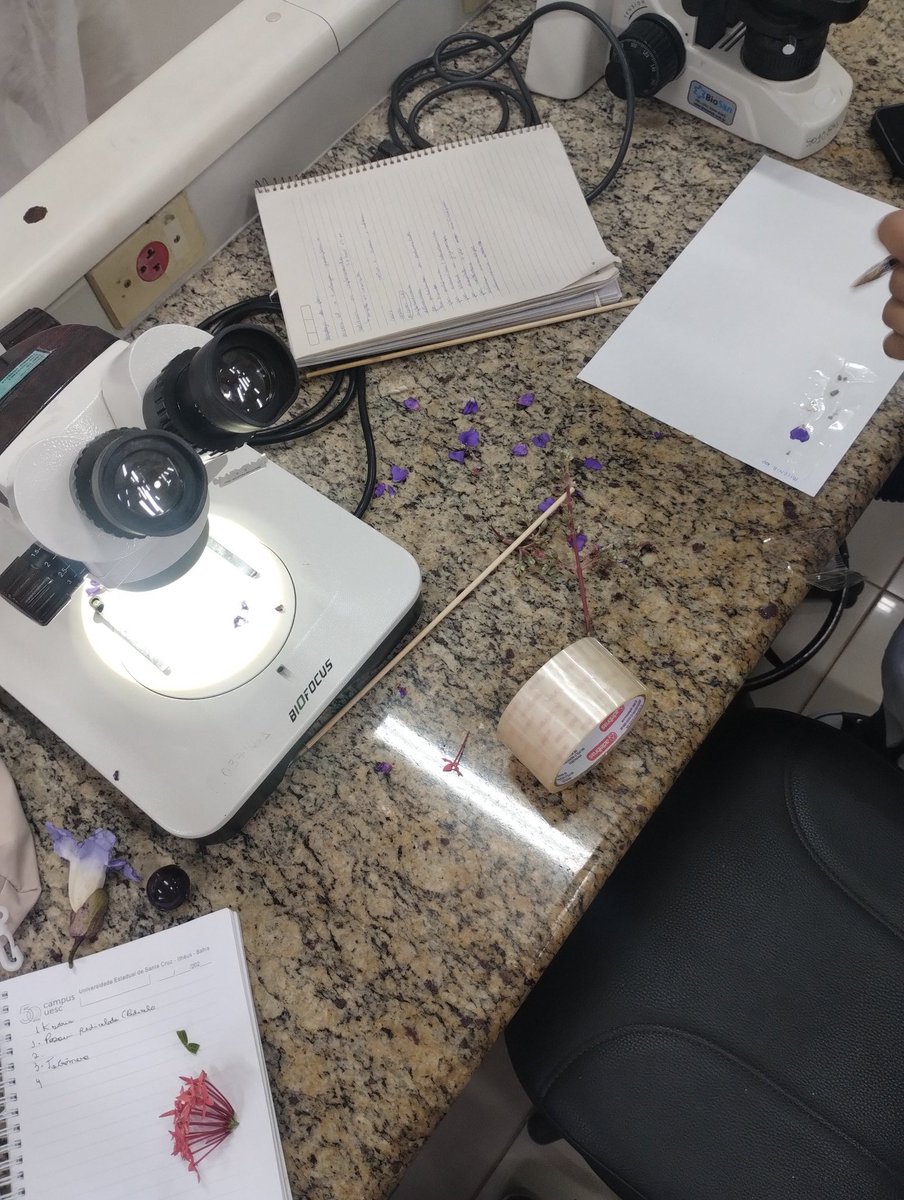 ¸.*☆*.¸⁭ tai ¸.*☆*.¸⁭ tweet media