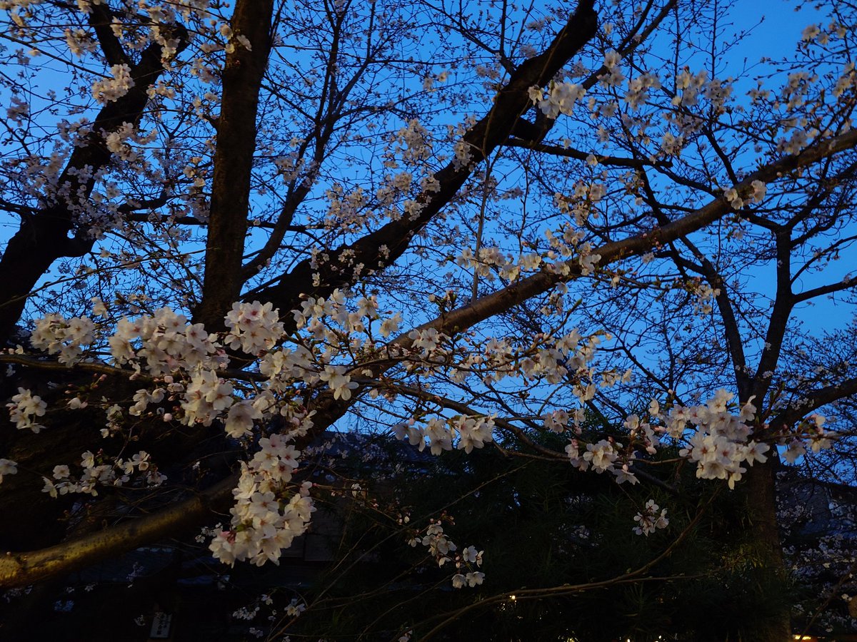 タカシ@(*´ω`*) tweet media