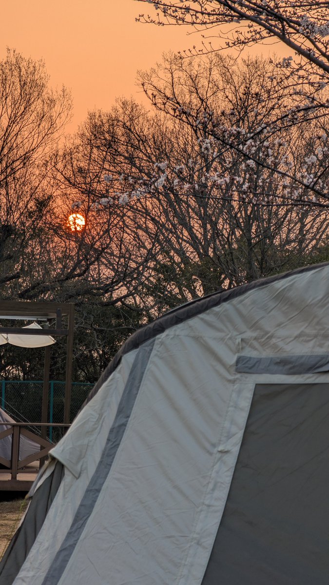 ダ・シルバ tweet media