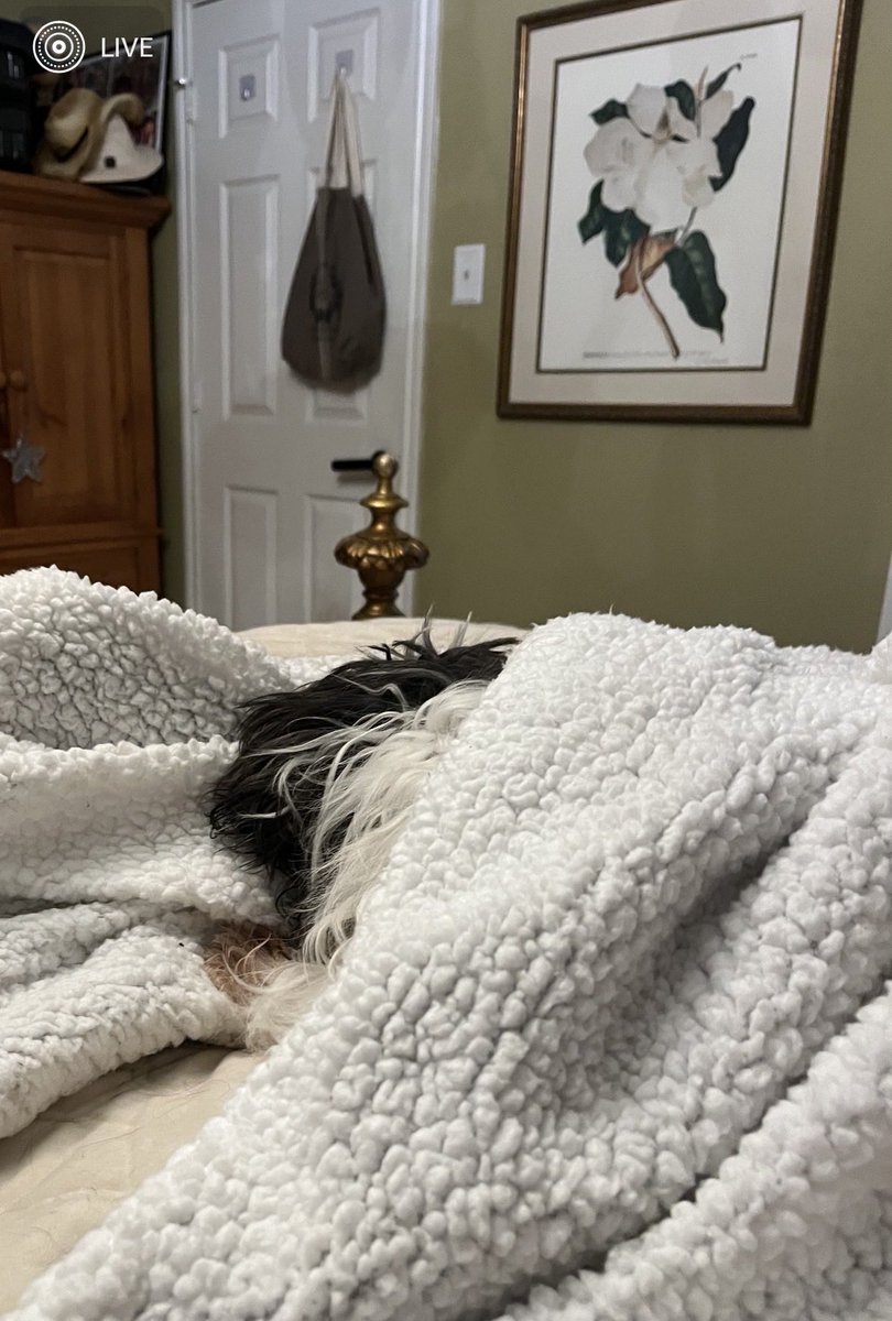 Catherine Cunningham, PhD tweet media