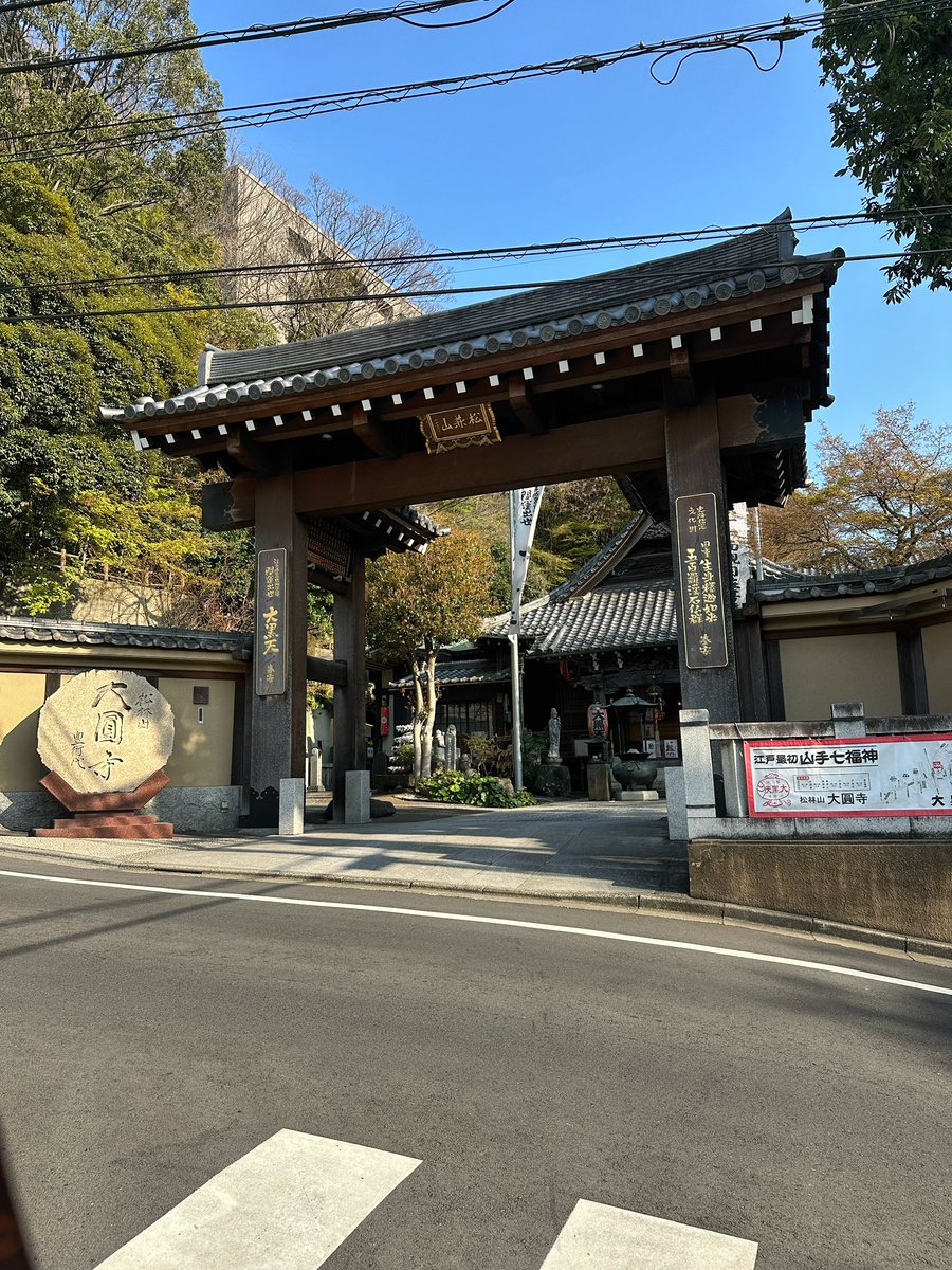 Grace Alex tweet media