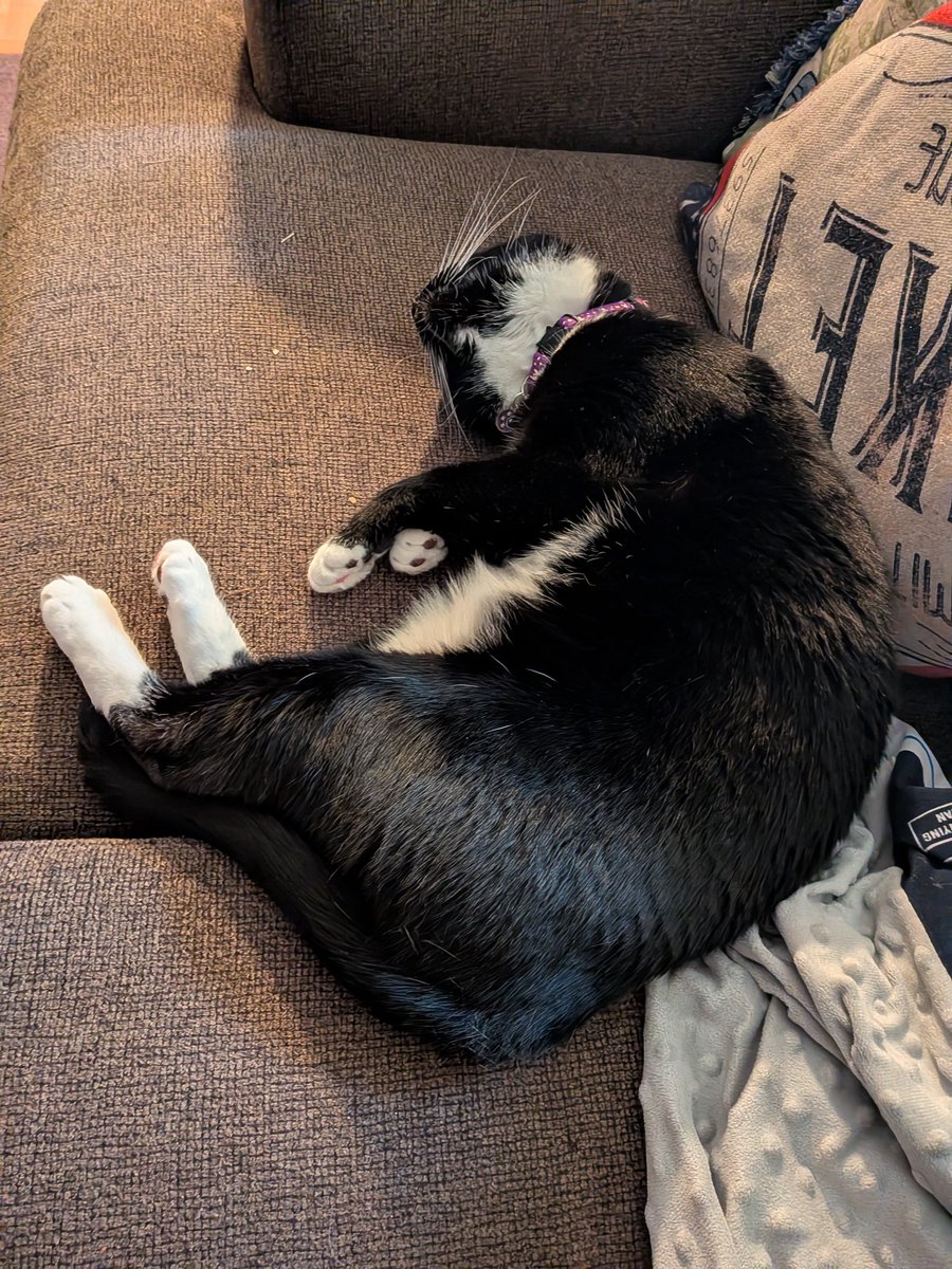 Barry P. tweet media