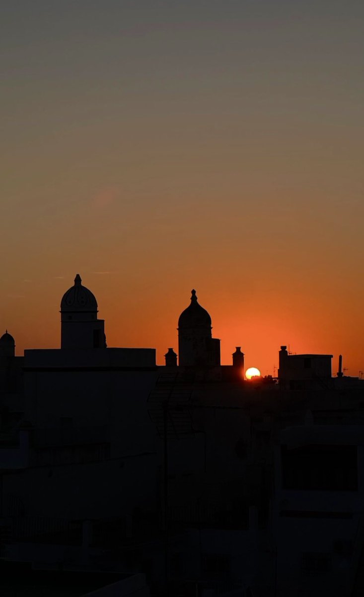 Patricia Domínguez 🌙🕌 tweet media