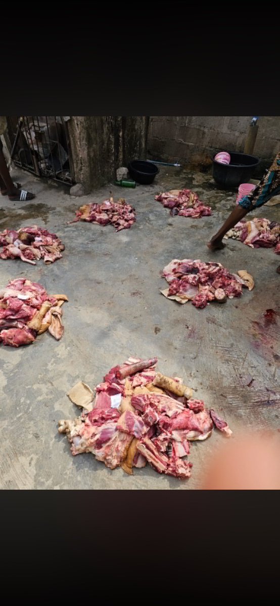 Talk2veee tweet media