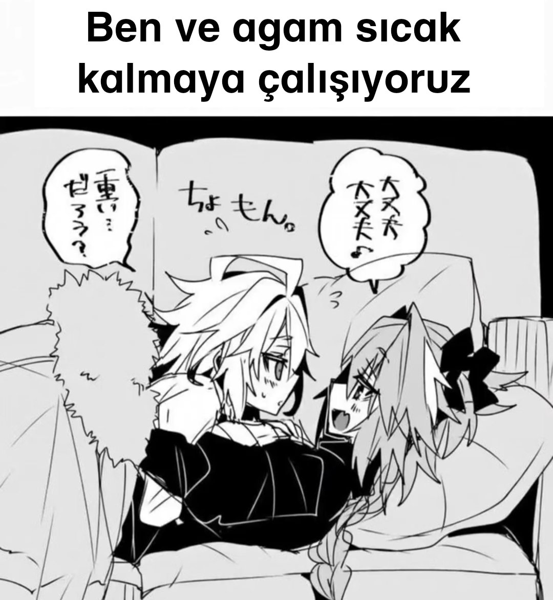 Daily Femboy tweet media