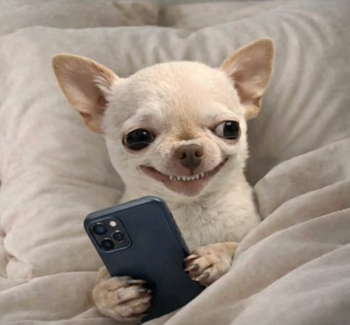 Rossie🦋✨ tweet media