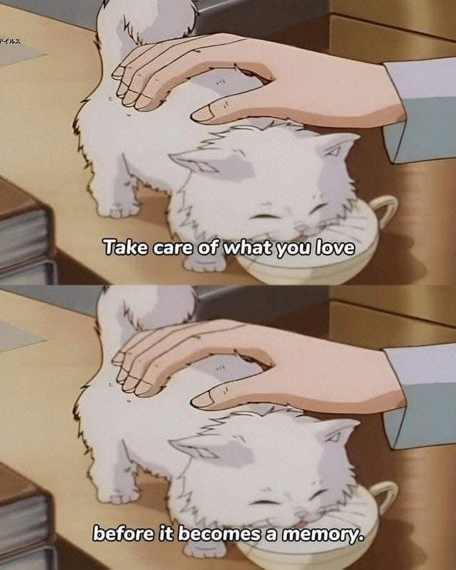 cinesthetic. tweet media