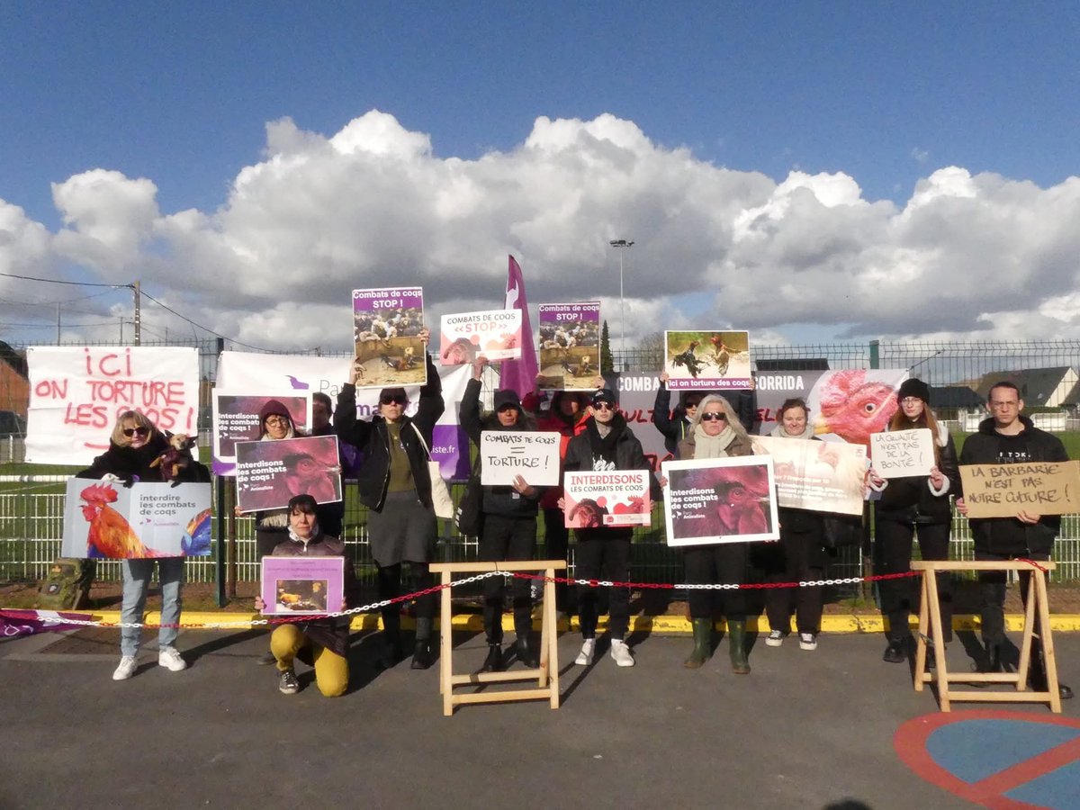 Sabine VG BCK Ⓥ🌻🇺🇦🐾🪶 tweet media