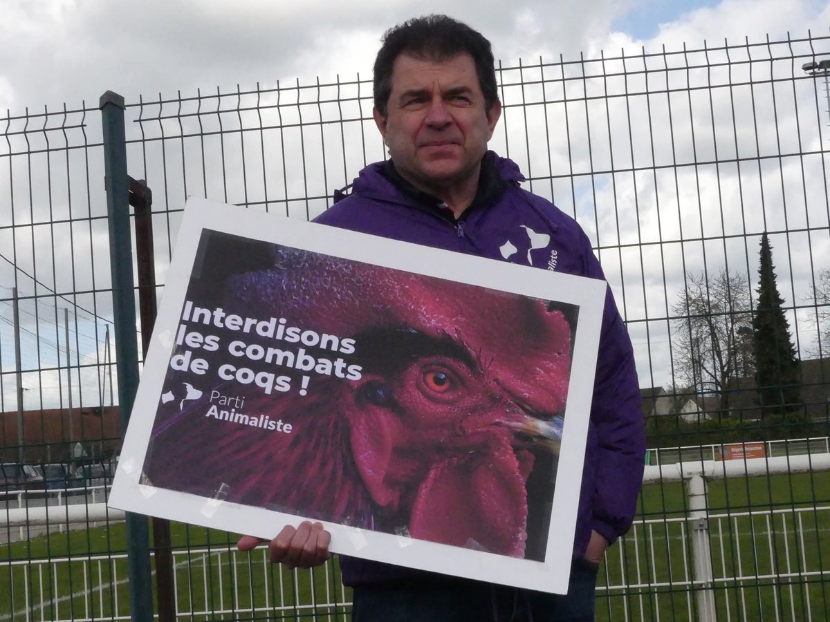 Sabine VG BCK Ⓥ🌻🇺🇦🐾🪶 tweet media