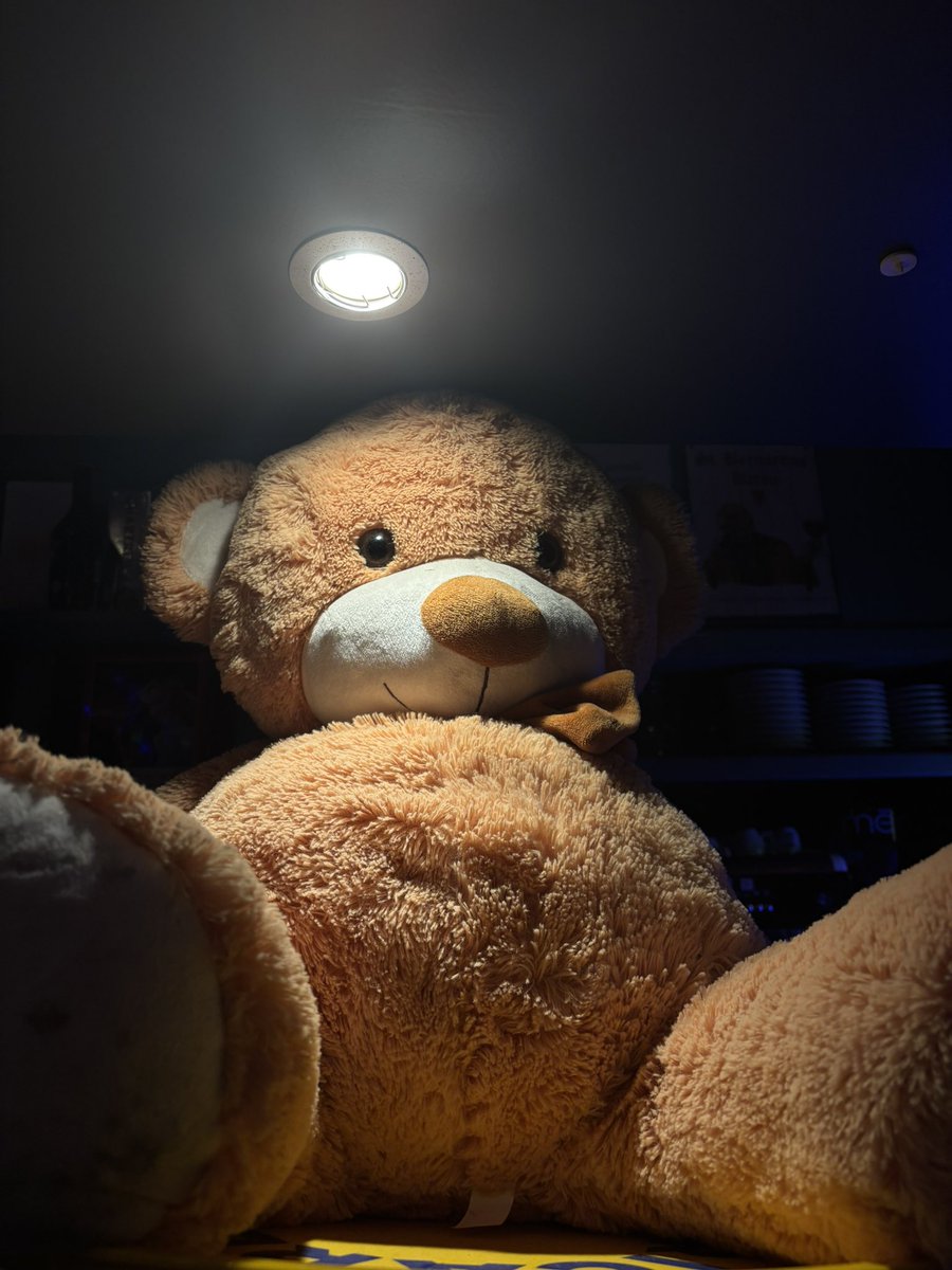 miss calico tweet media