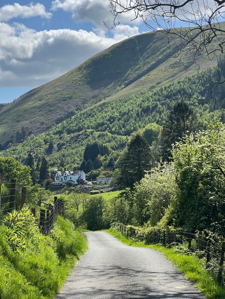 𝒆𝒍𝒚𝒓𝒂 tweet media