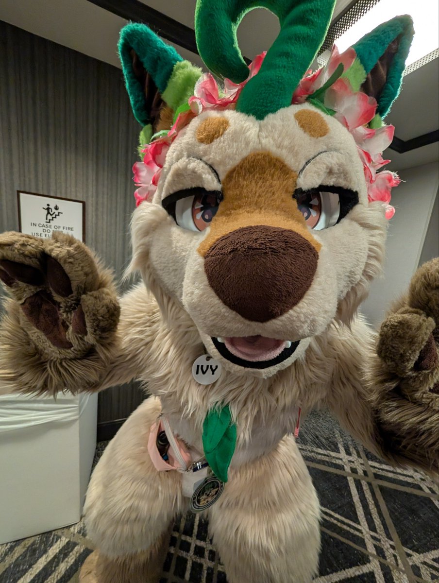 Ivy Leafeon tweet media