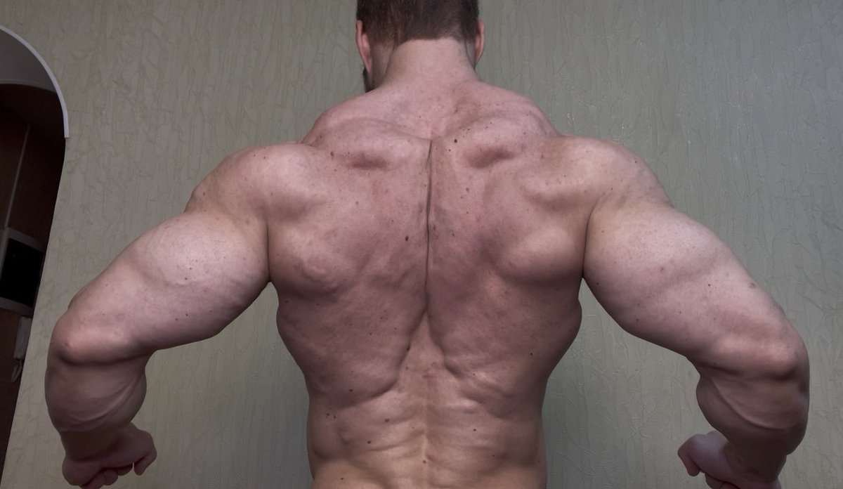 Muscle_show tweet media