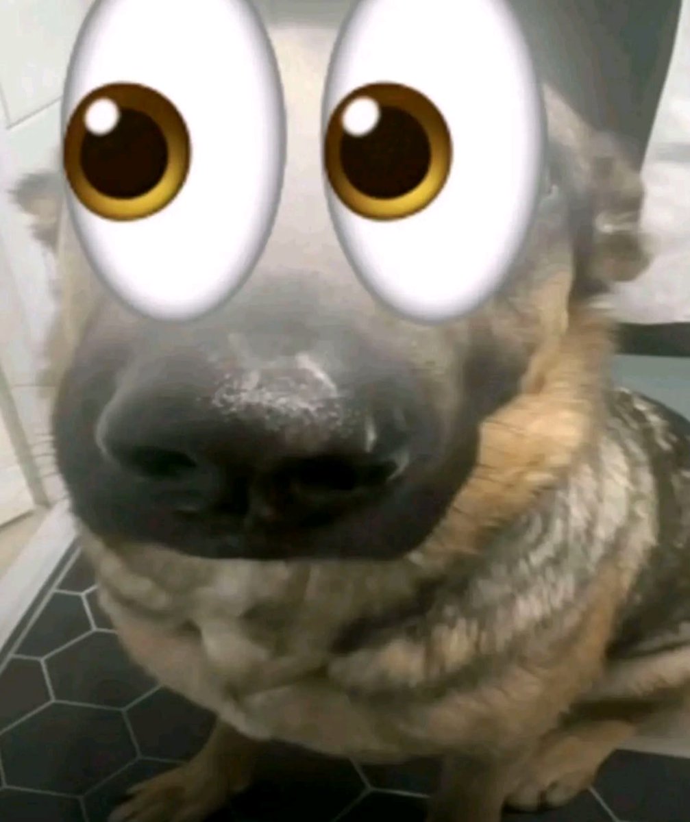 doxia // editor tweet media