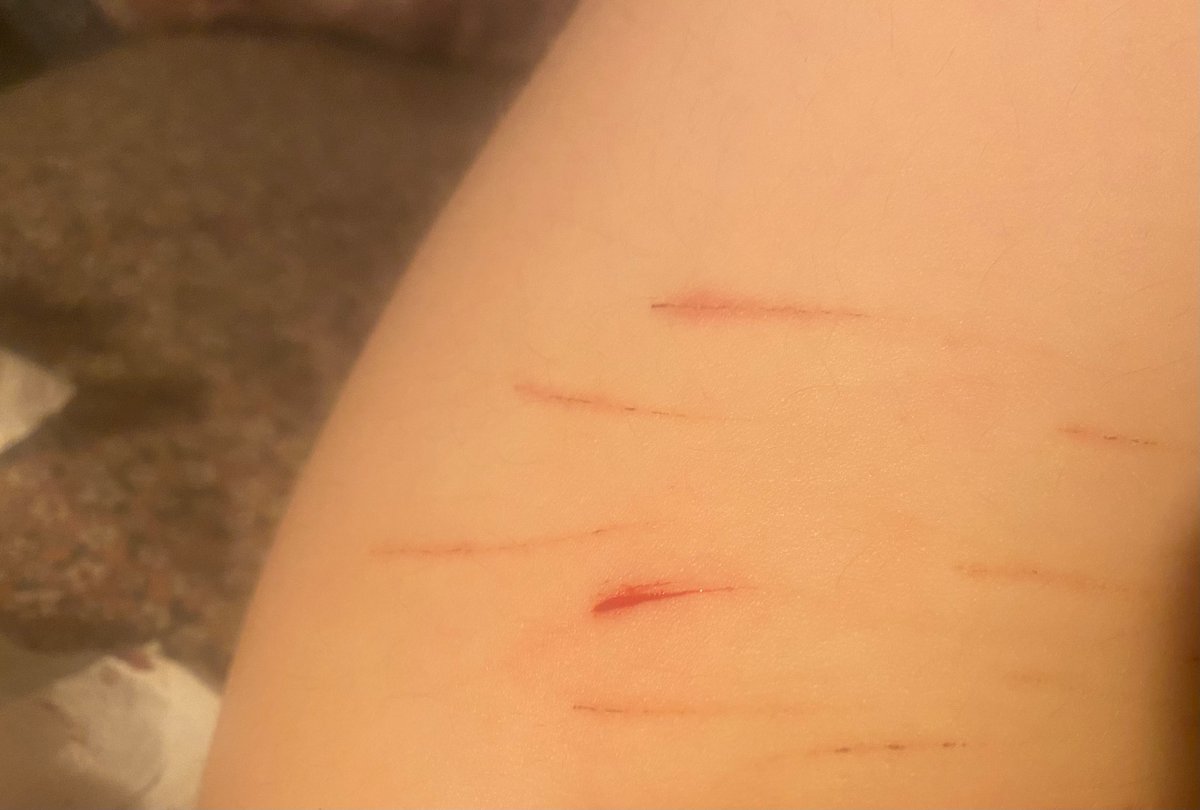 liza l shed twt ݁⋆⭒˚.⋆ tweet media