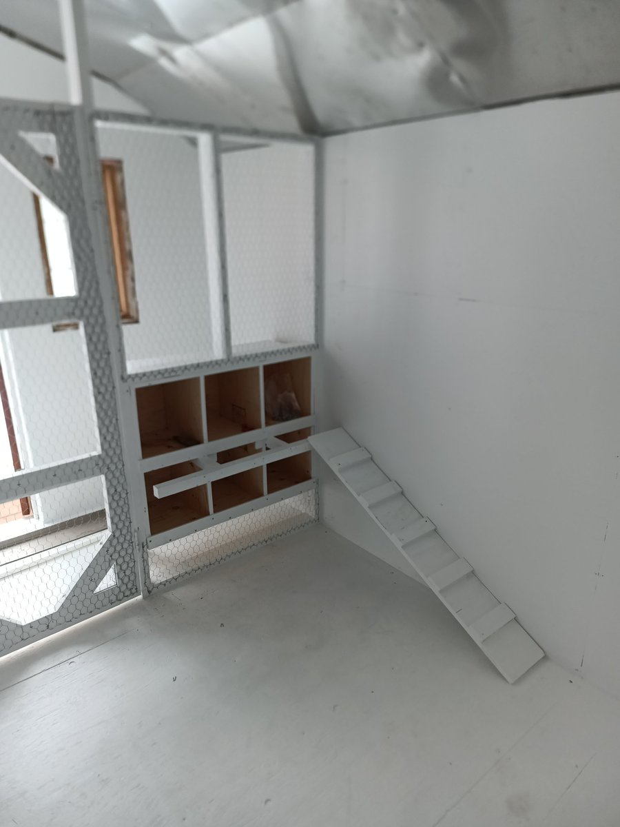 Kelsey Solick tweet media