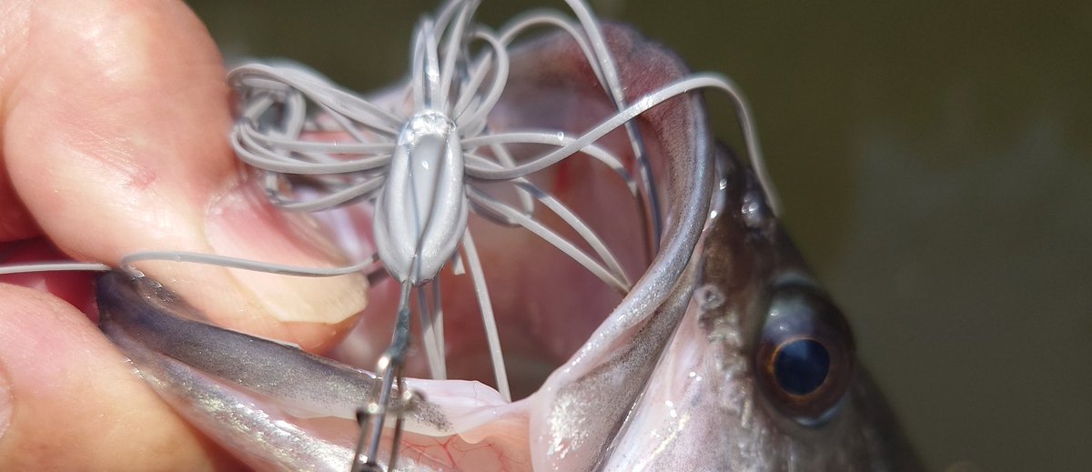 taka1967 tweet media