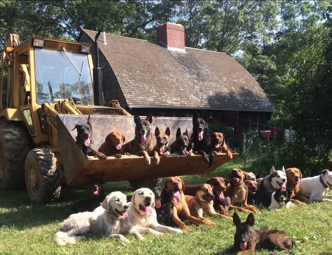 Scott Robertson tweet media