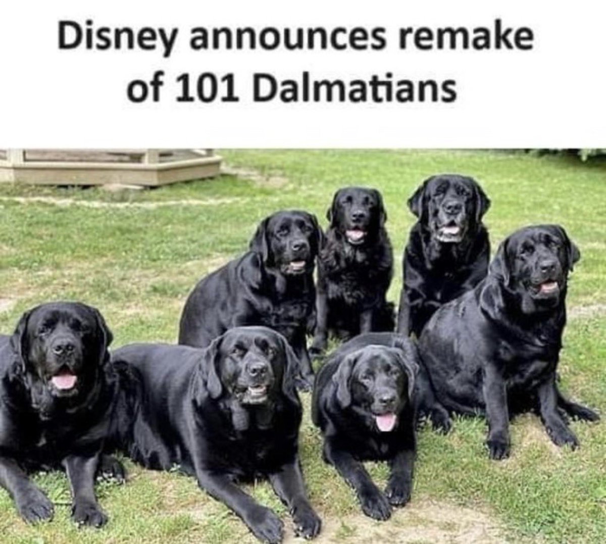 Metatron tweet media