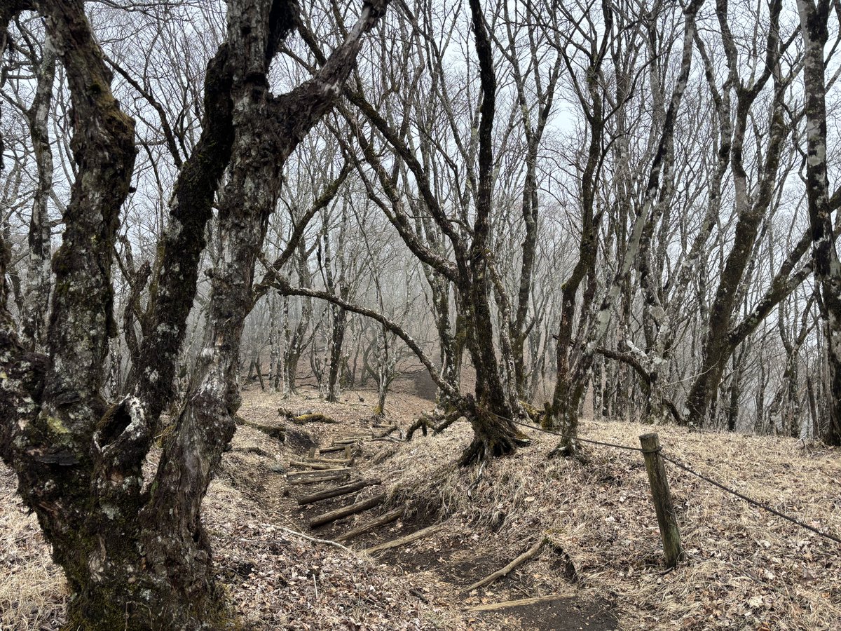 登山ガイドむらい tweet media