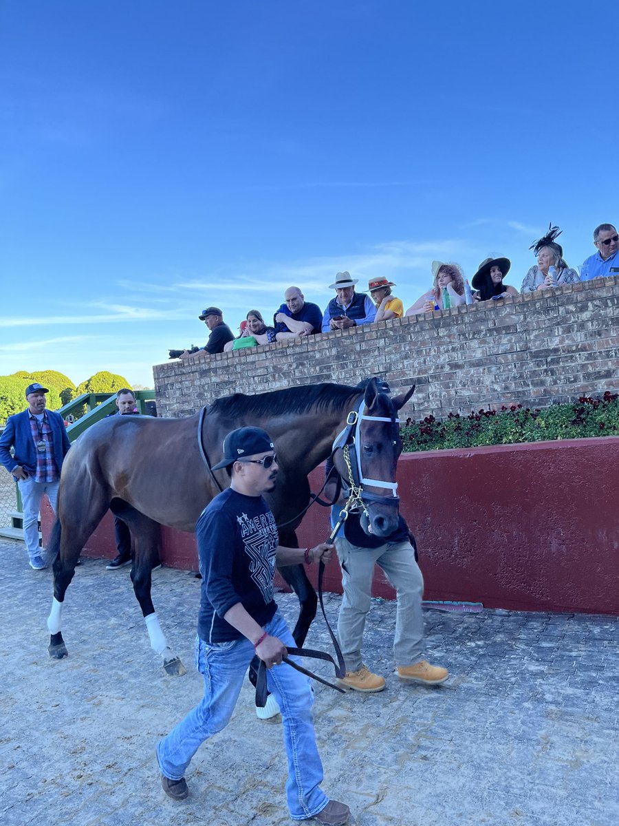 Albaugh Family Stables tweet media