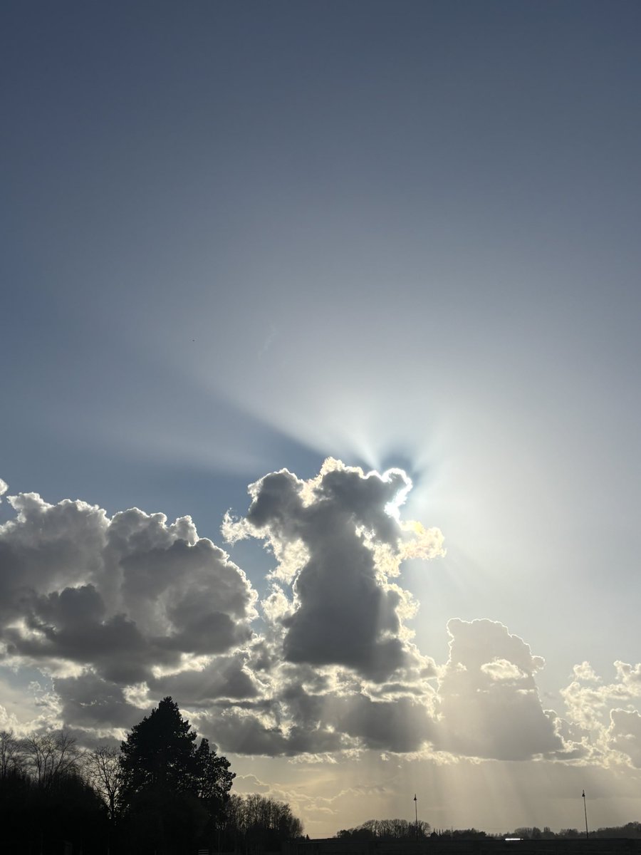 miss calico tweet media