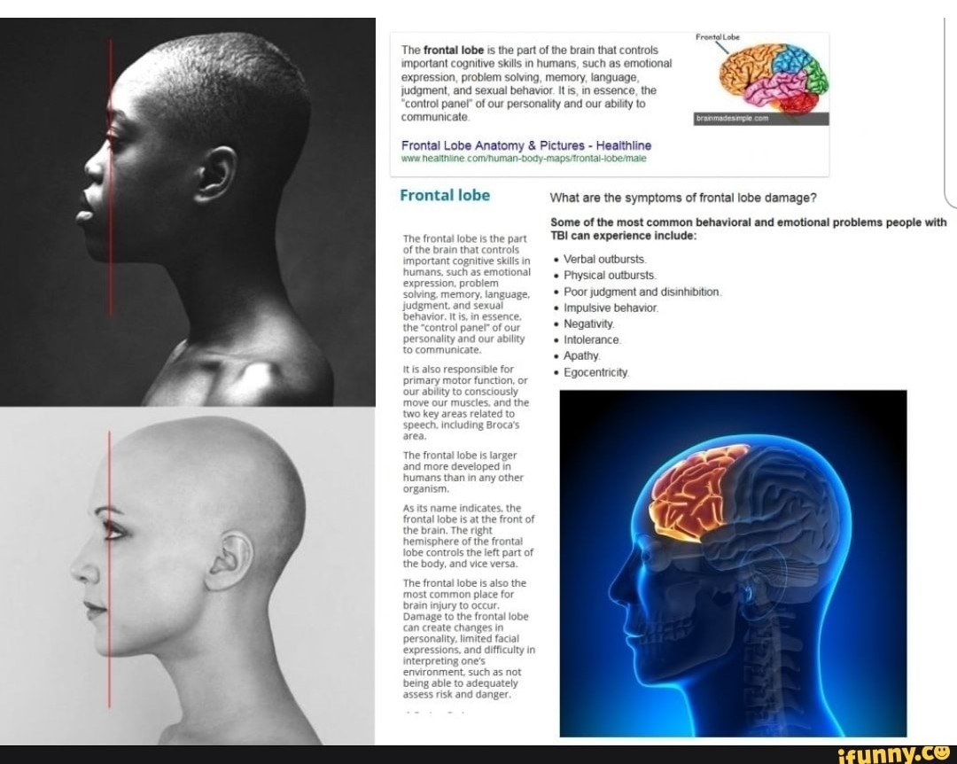GingerJayke tweet media