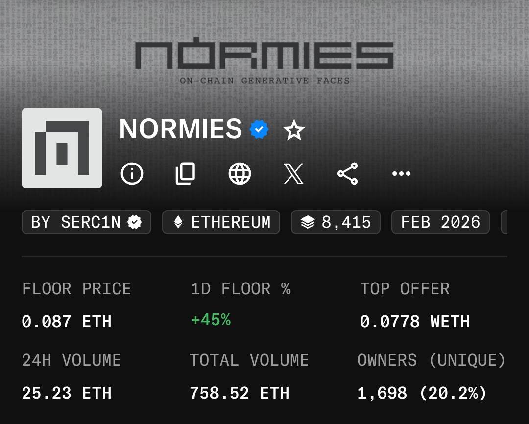Orro 🐨 tweet media