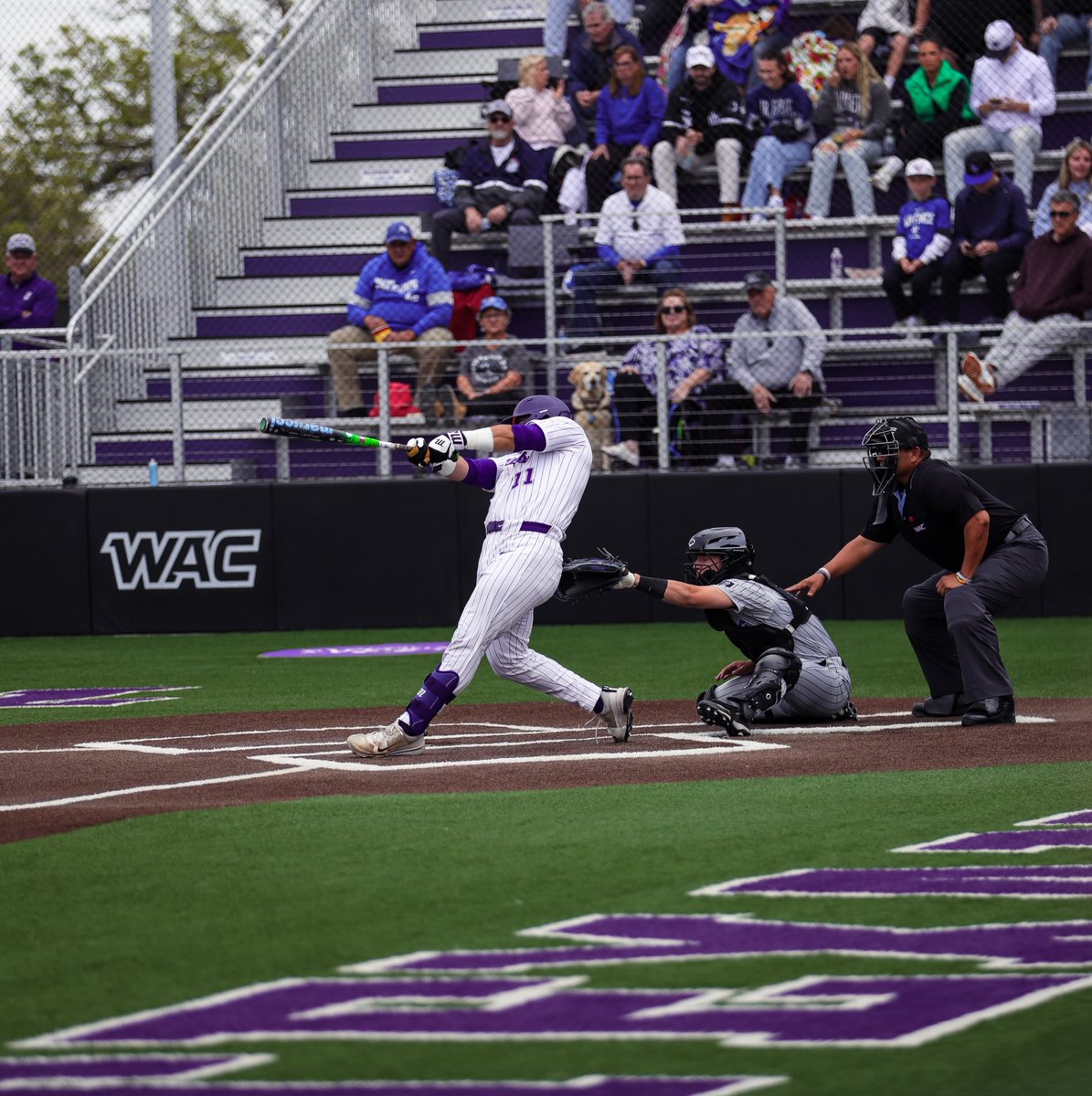 Tarleton State Baseball tweet media
