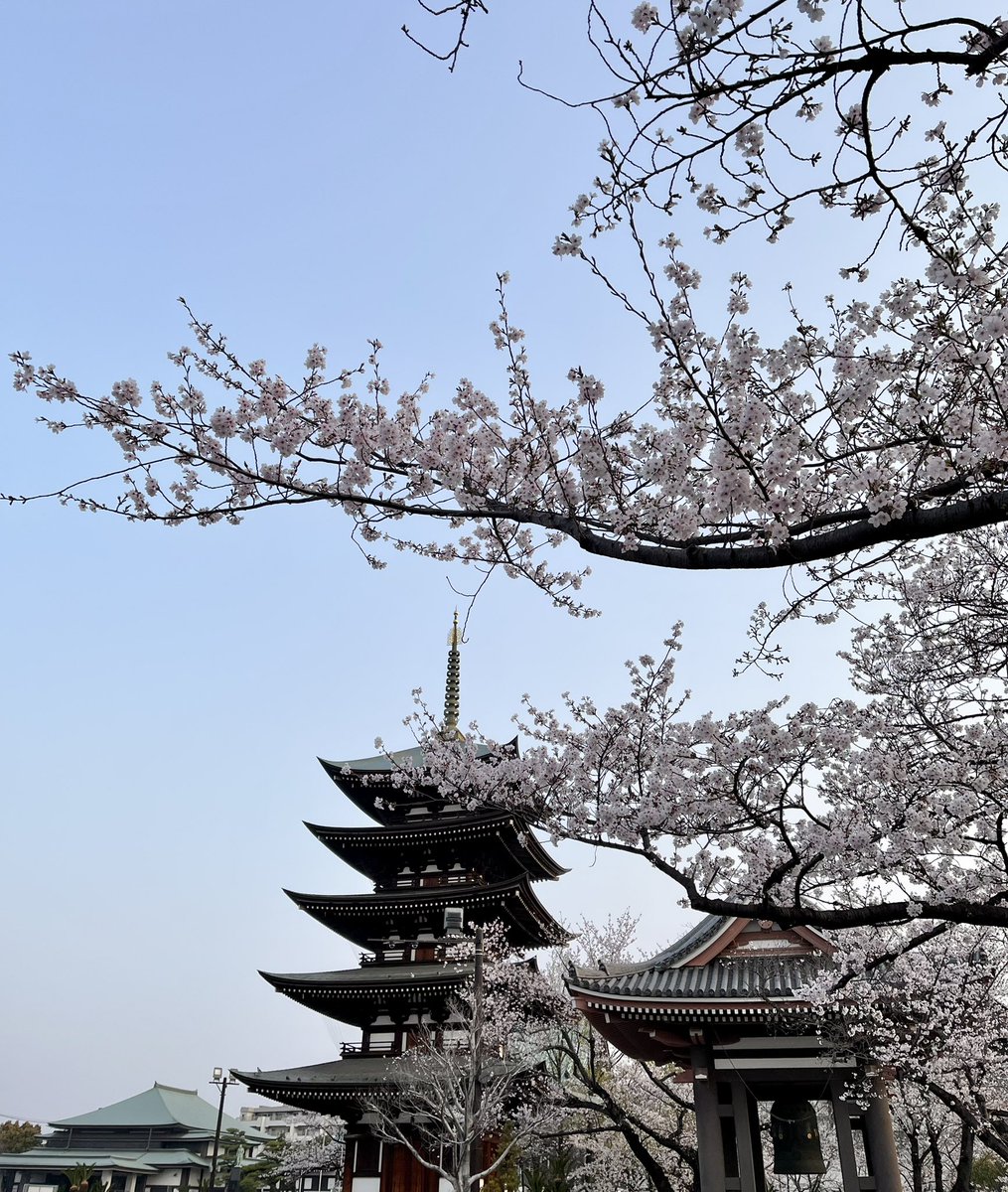 らんのすけ🥷（BENTO Artist🍱） tweet media