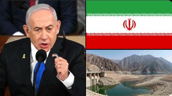 Whale Factor tweet media