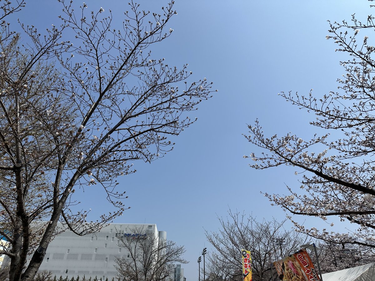 フジペイ🛤️ tweet media