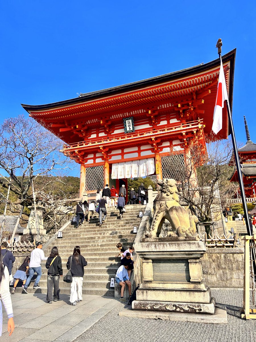 みかんタルト tweet media