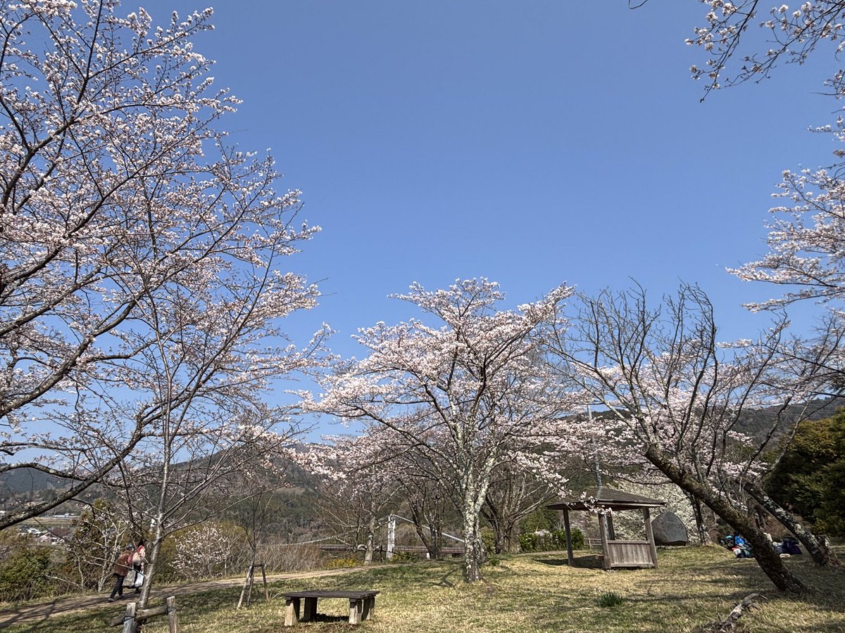 秦野戸川公園 tweet media