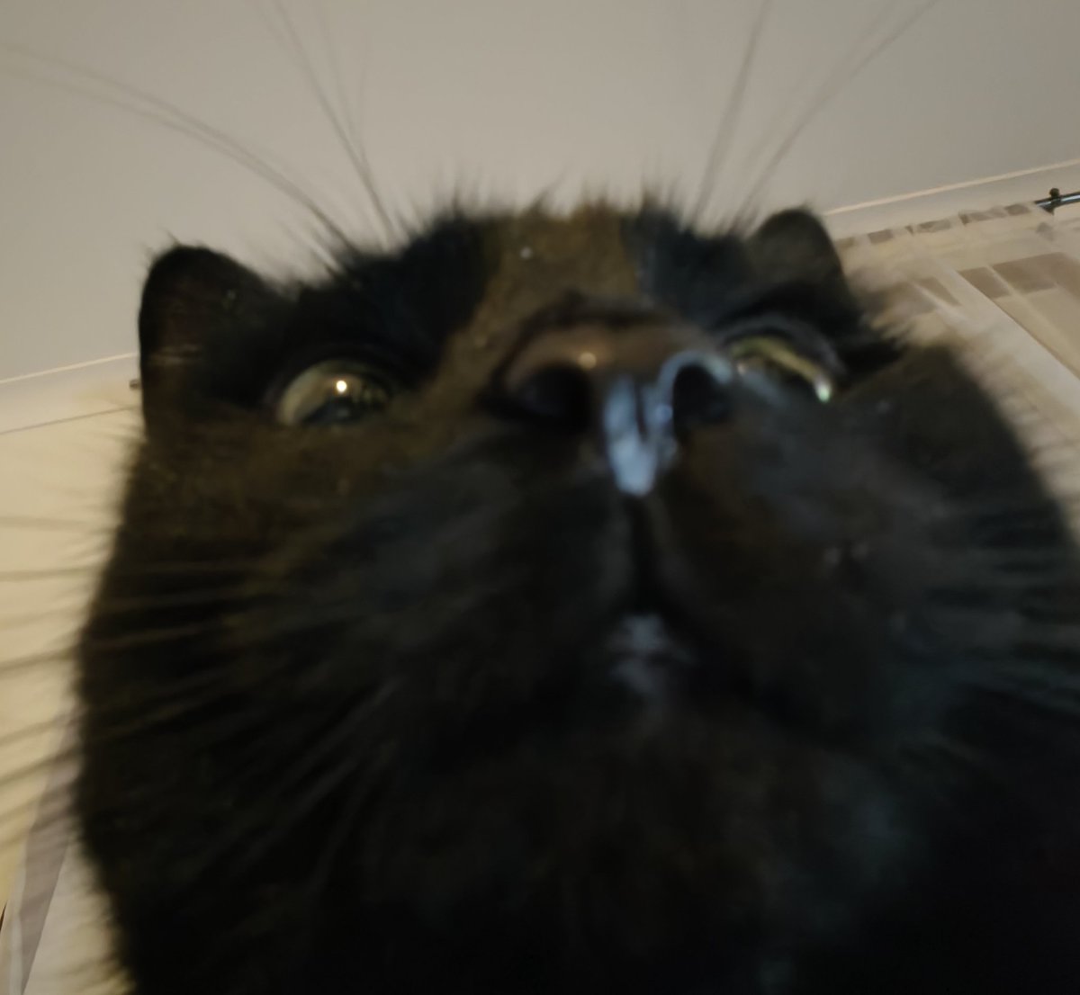 miles 🖤 estorb tweet media