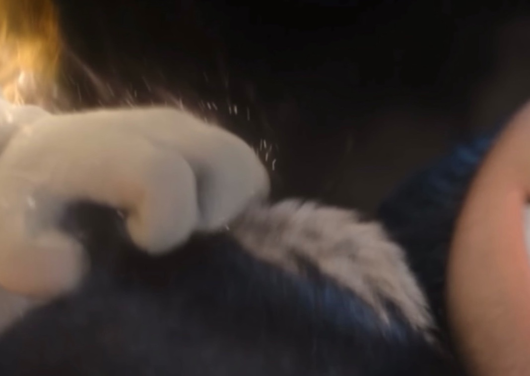 💙grey🖤 tweet media