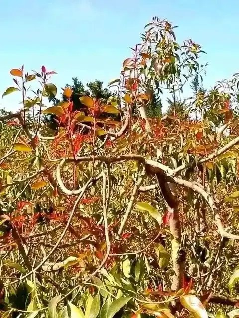 missedcall🌿 tweet media