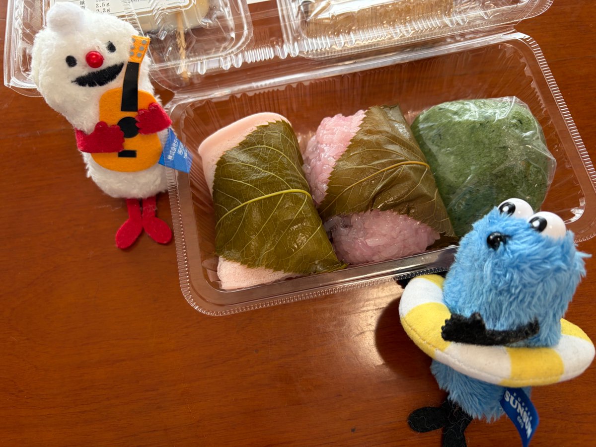 スンスン写真 tweet media