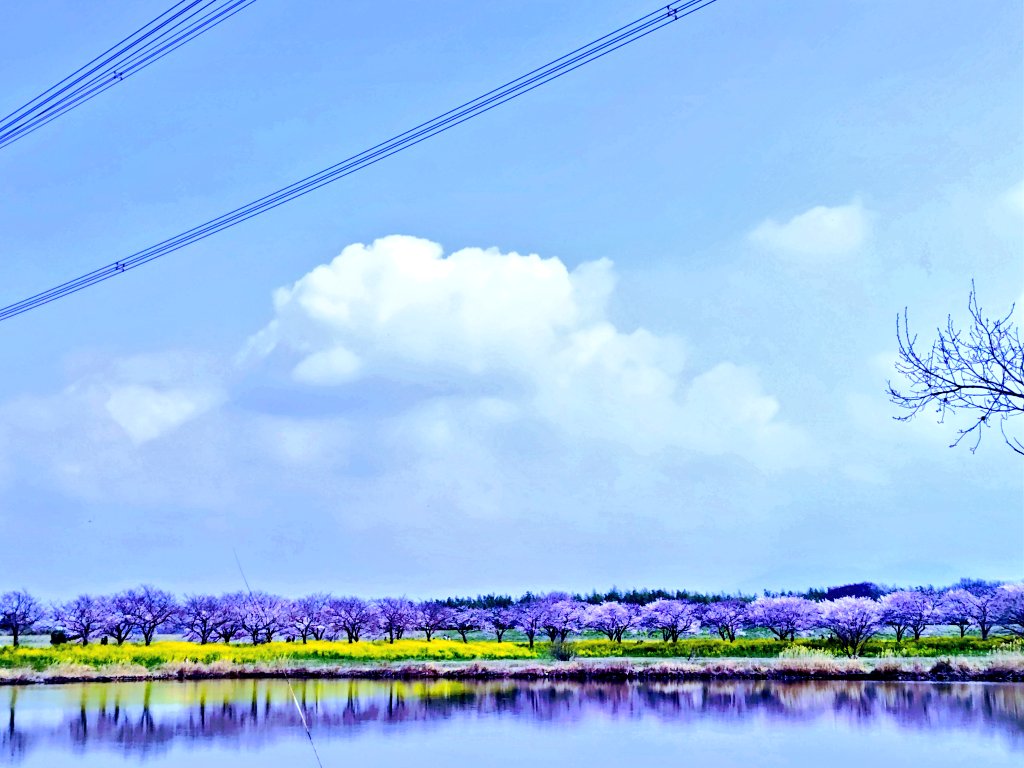 ☦️kaoru☦️ tweet media