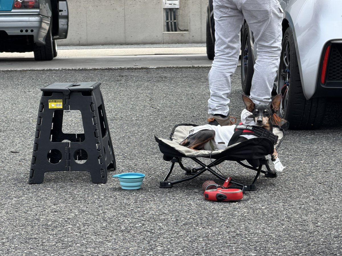 ちぁんめぐ。極🐕‍🦺(六甲ターボババー🫵)旧 chan meg tweet media